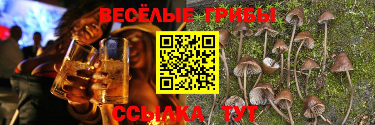 Галлюциногенные грибы мухоморы  Вход с VPN  Гатчина 