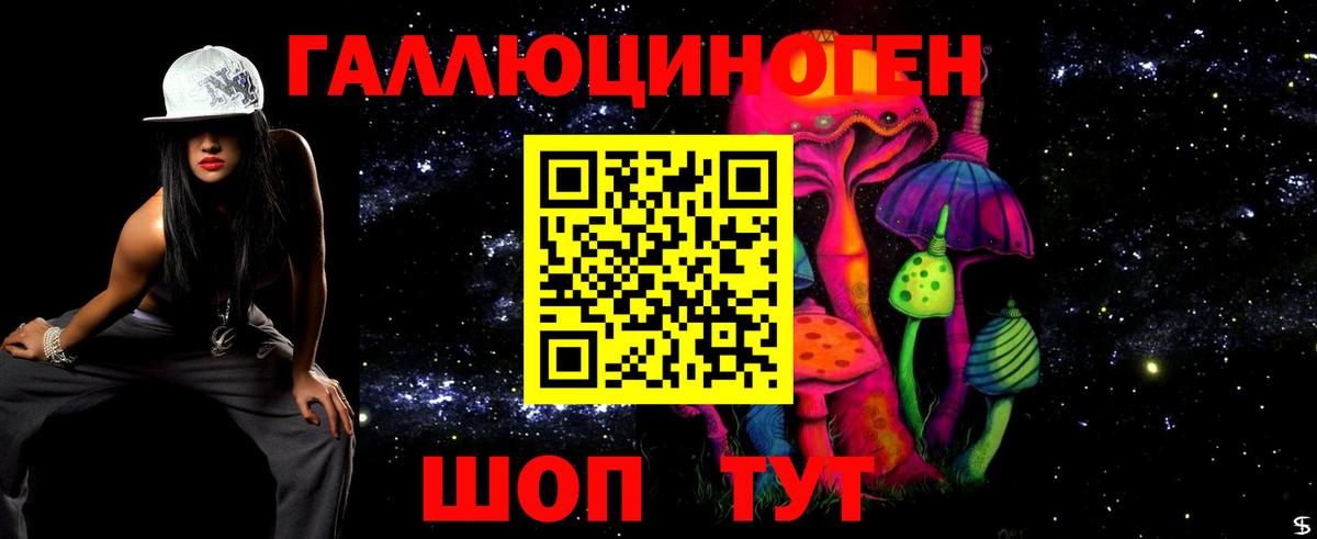 Галлюциногенные грибы GOLDEN TEACHER Гатчина