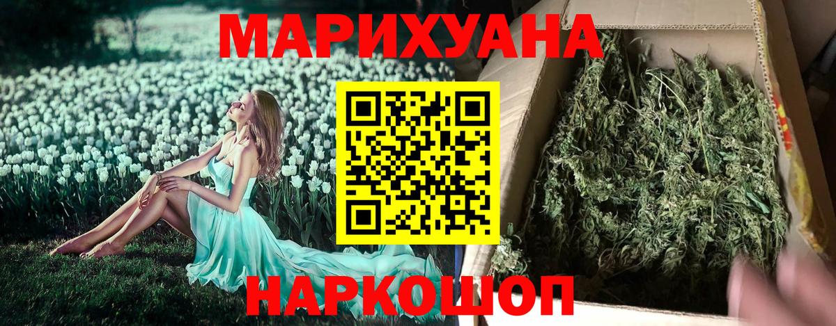 ГАШ Гатчина